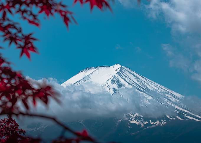 Mount Fuji with Red Maple Leaves
