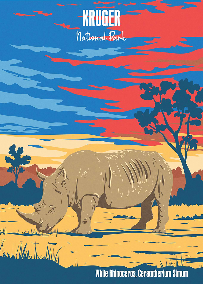 Kruger National Park White Rhino