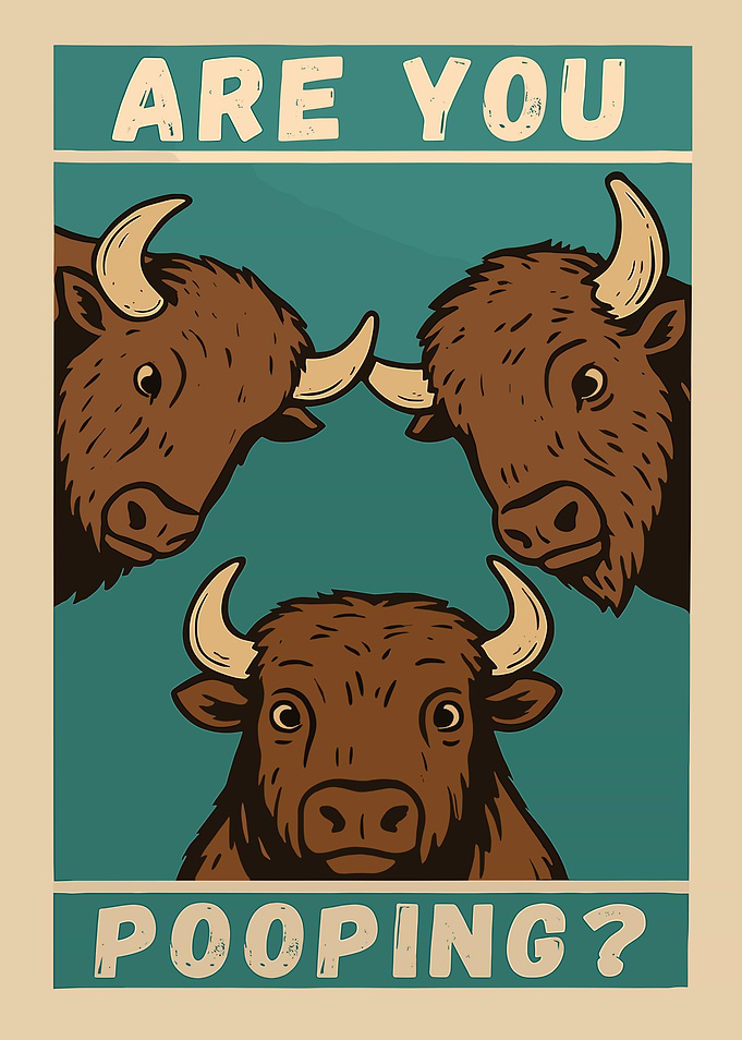 Are You Pooping? Buffalo Poster
