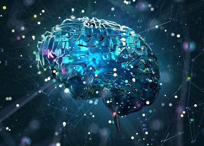 Digital Brain with Network Connections