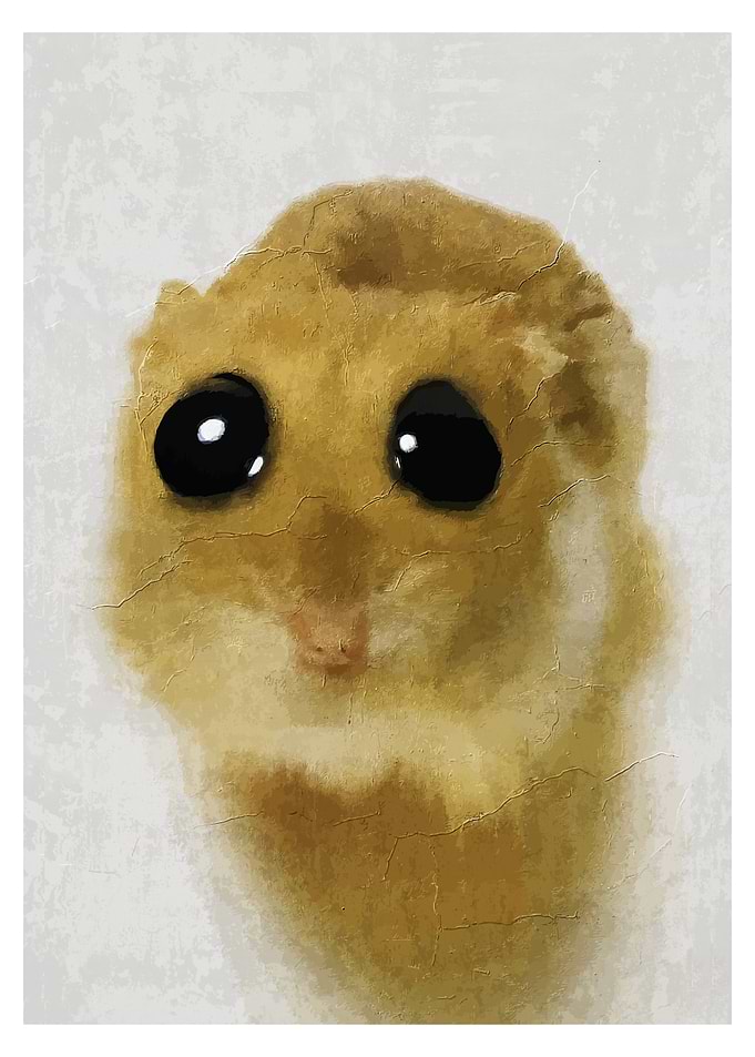 Hamster Portrait with Big Eyes