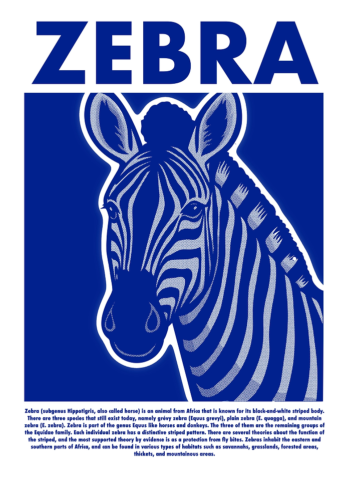 Zebra Illustration in Blue and White