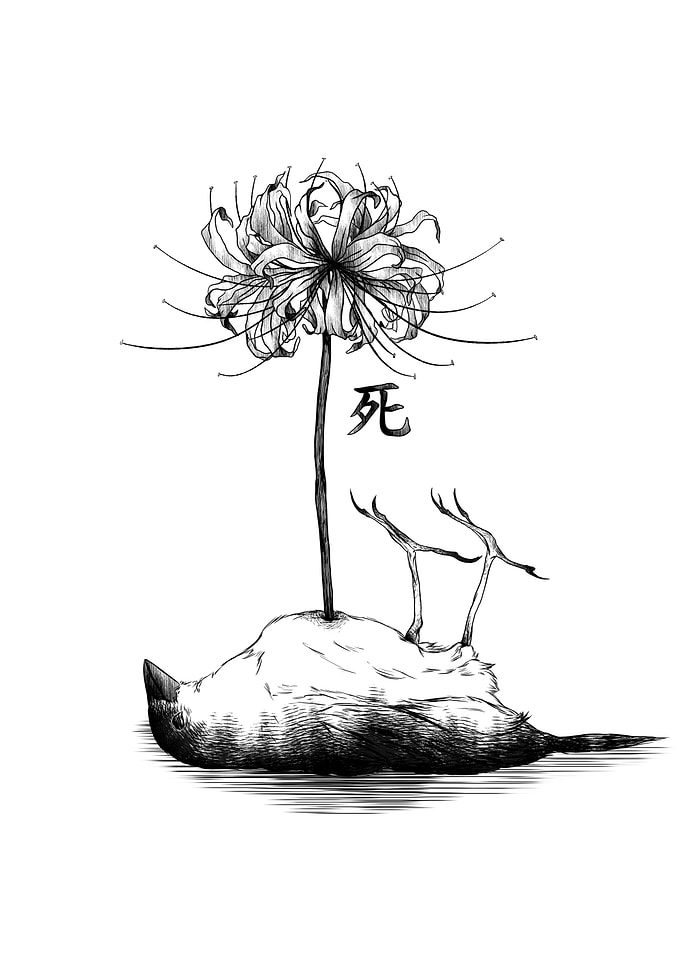 Dead Bird with Spider Lily