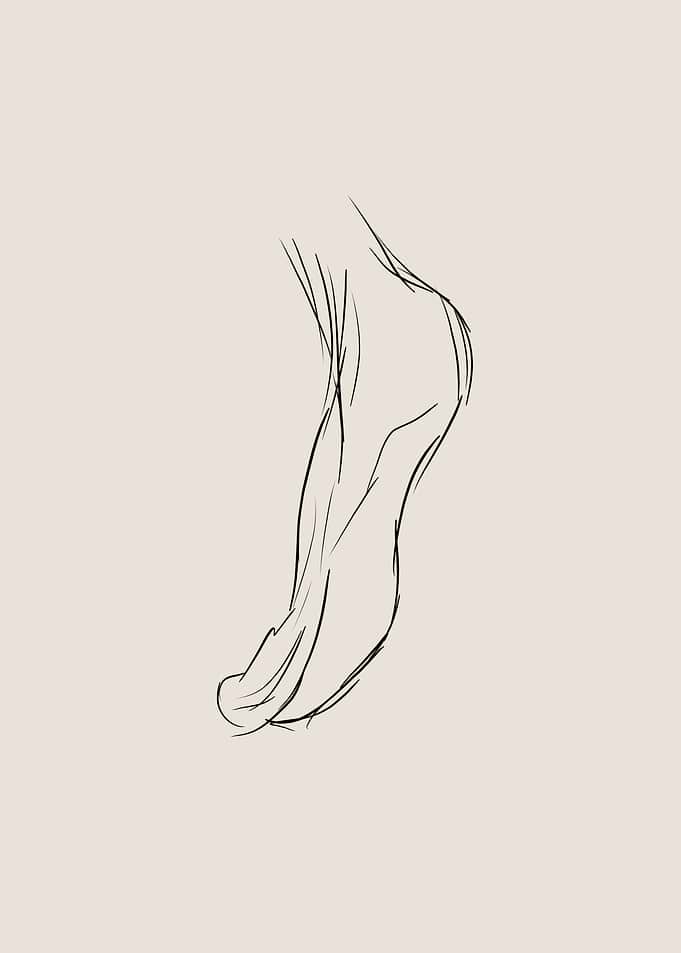 Foot Line Art