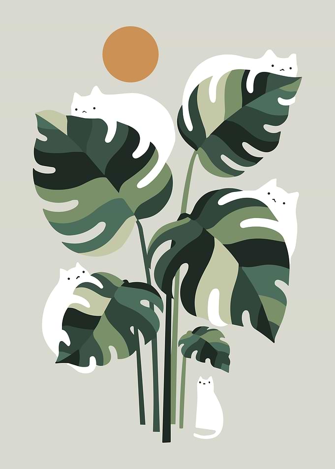 Cats and Monstera Plant