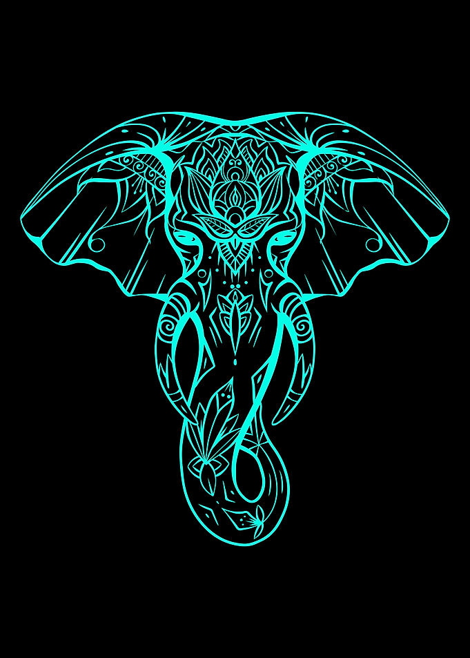 Neon Elephant Mandala on Black