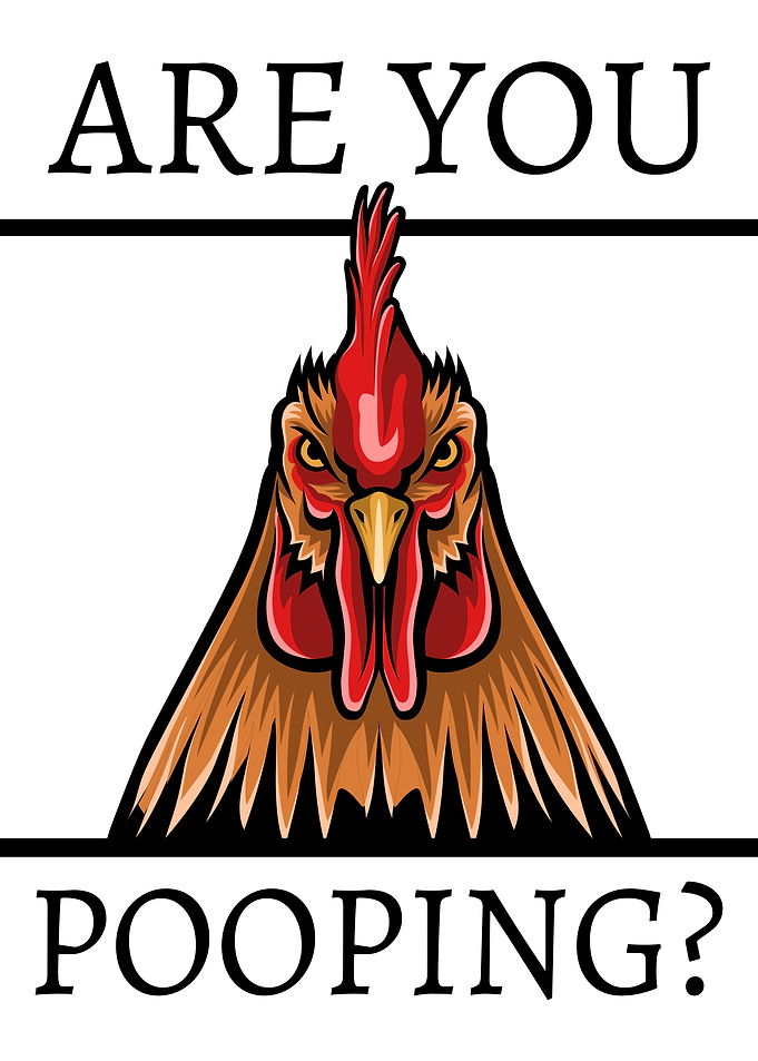 Are You Pooping? Rooster Graphic