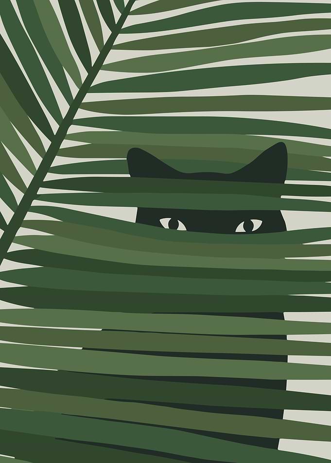 Black Cat Hiding in Greenery