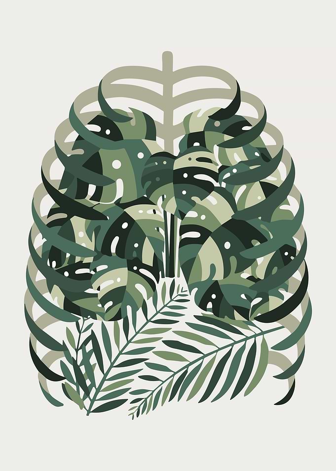 Botanical Ribcage