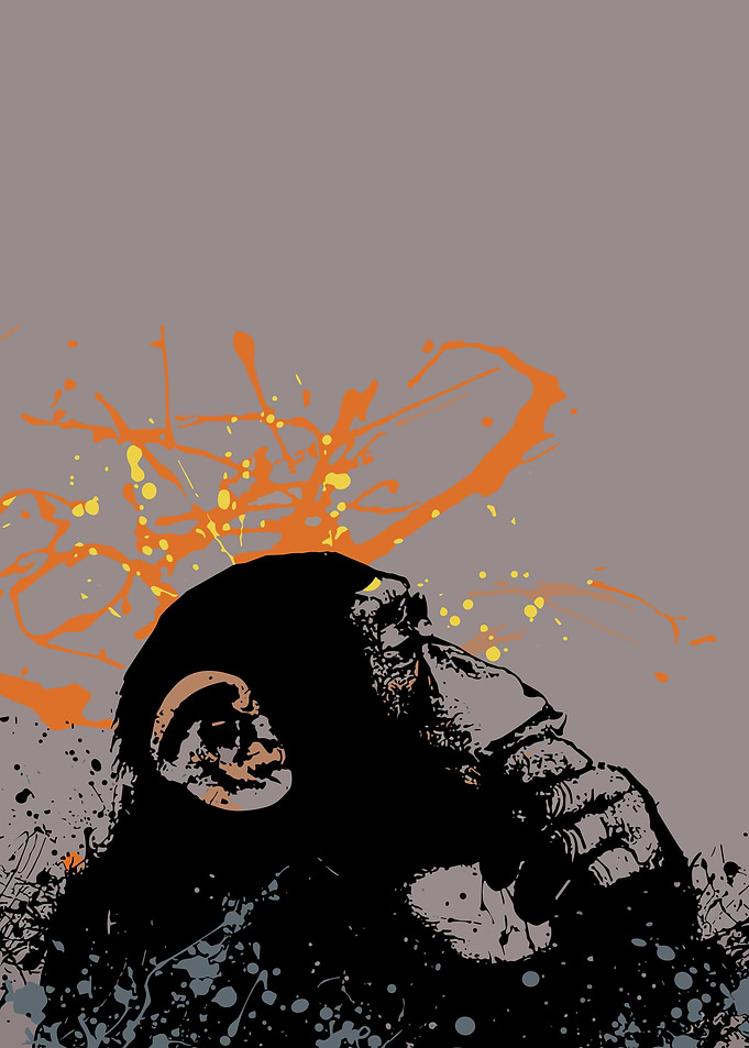 Chimpanzee