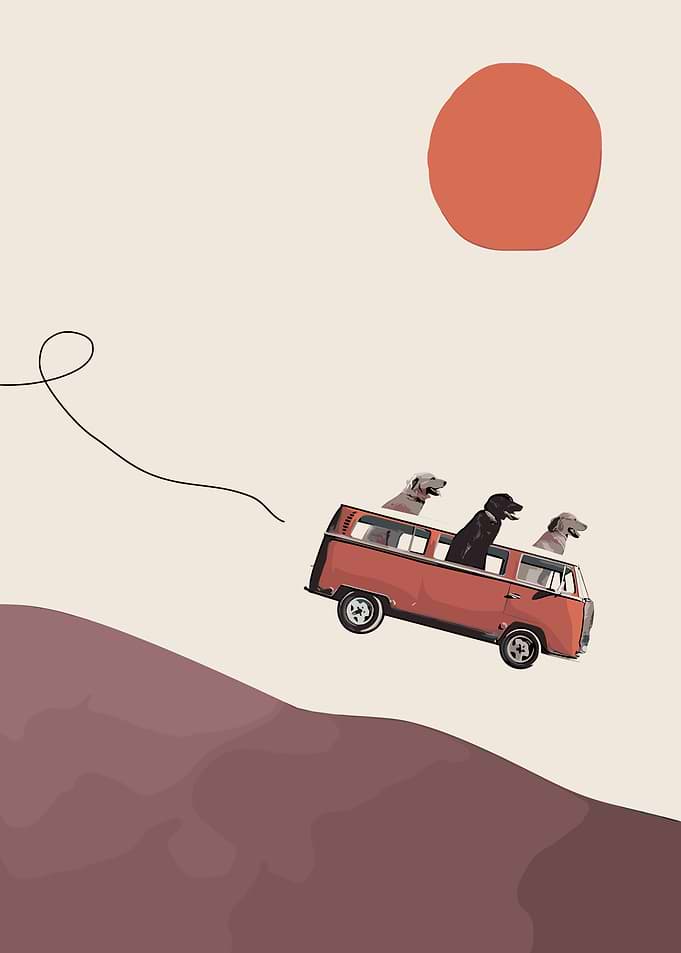 Dogs in a Van Adventure
