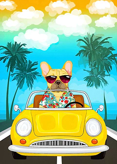 Dog driving yellow car on vacation