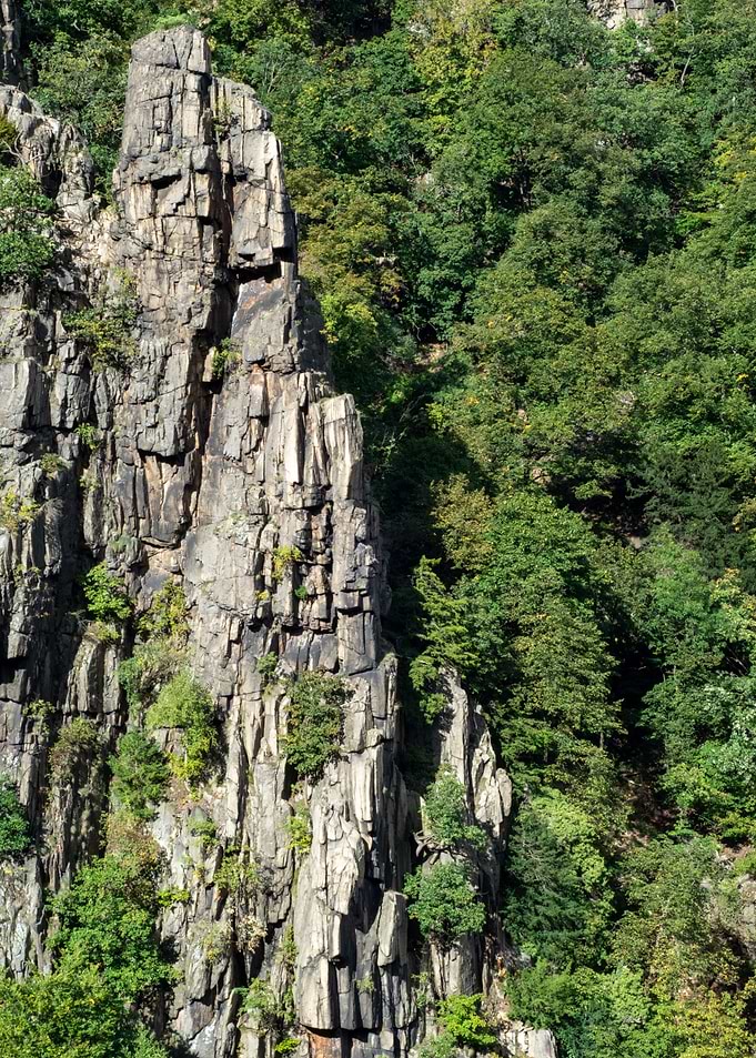 Rocky Cliffside with Green Foliage