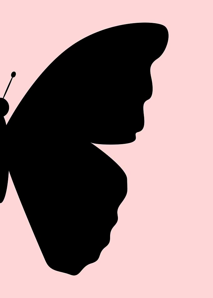 Butterfly Silhouette on Pink Background