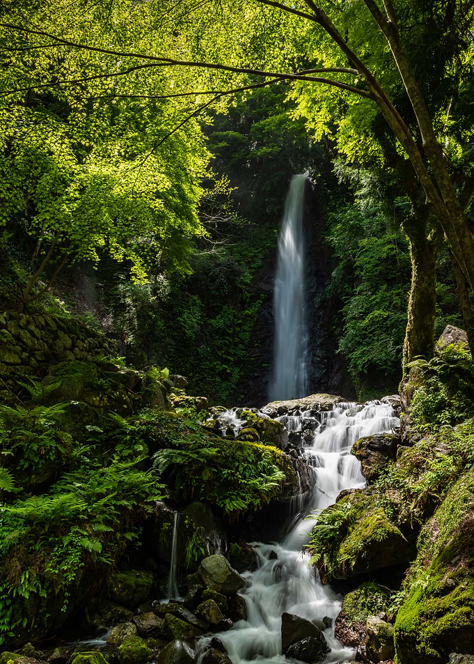 Waterfall Lush Forest
