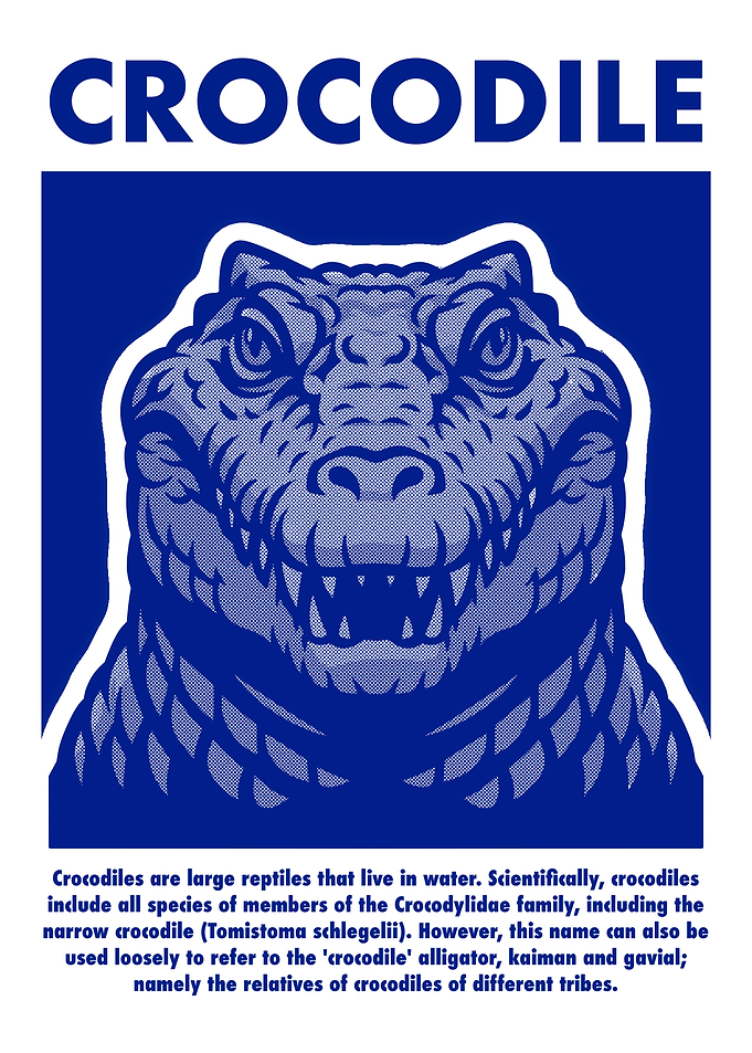 Crocodile Illustration