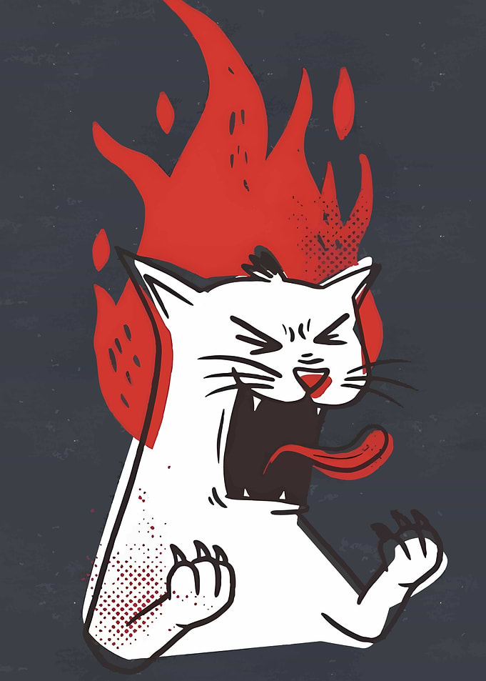 Angry Cat with Flames