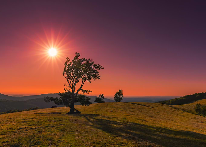 Sunset over a grassy hill, Hala Jaworowa, Poland