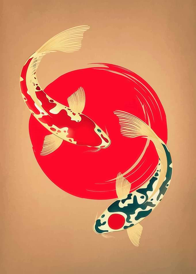 Koi Fish Yin Yang Art