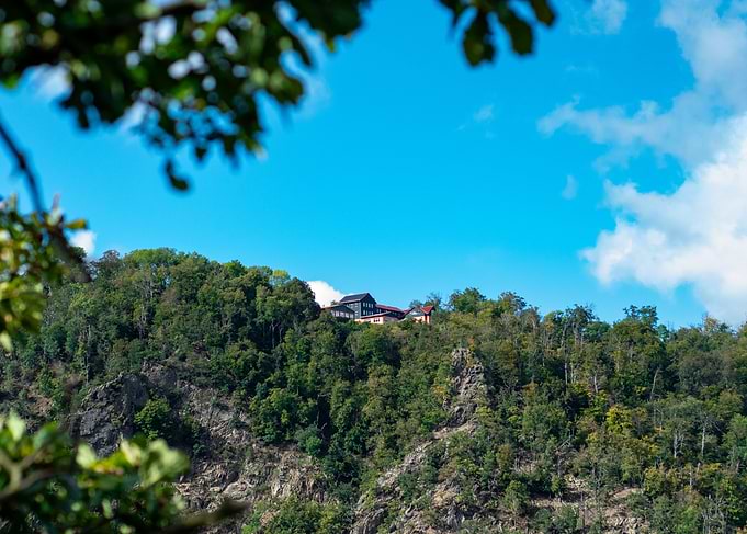 Hilltop House with Forest View