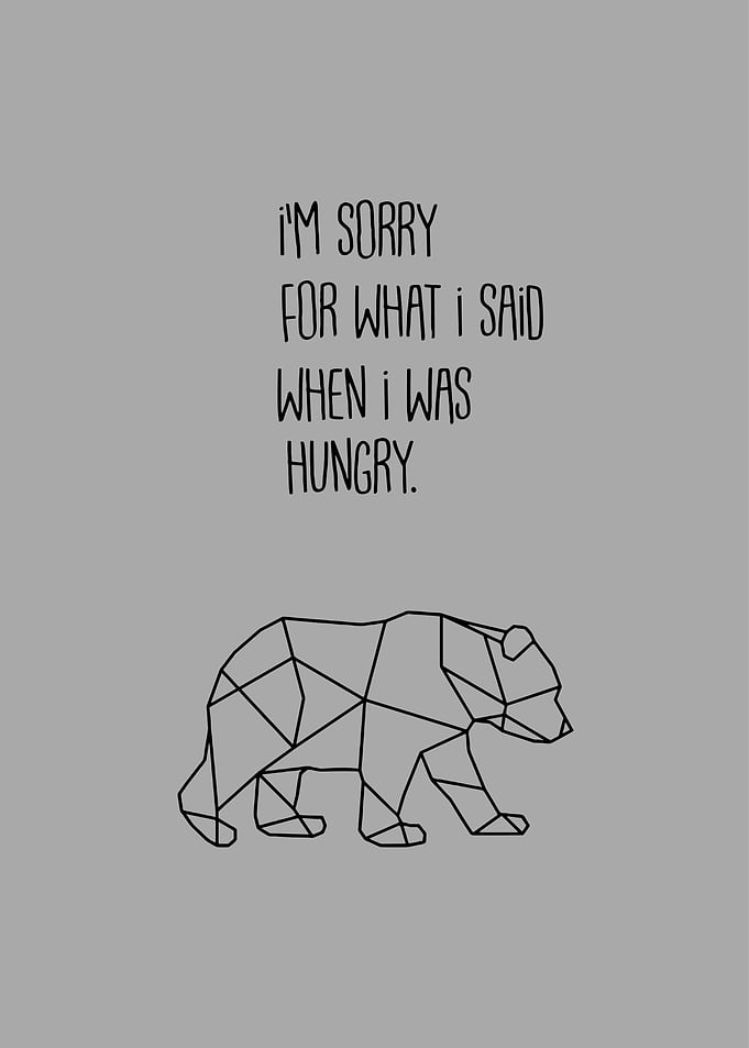 Hungry Bear Apology