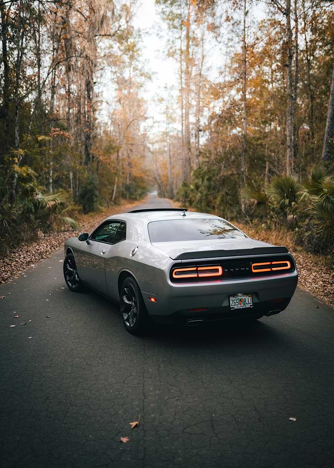 Silver Dodge Challenger on Forest Road
