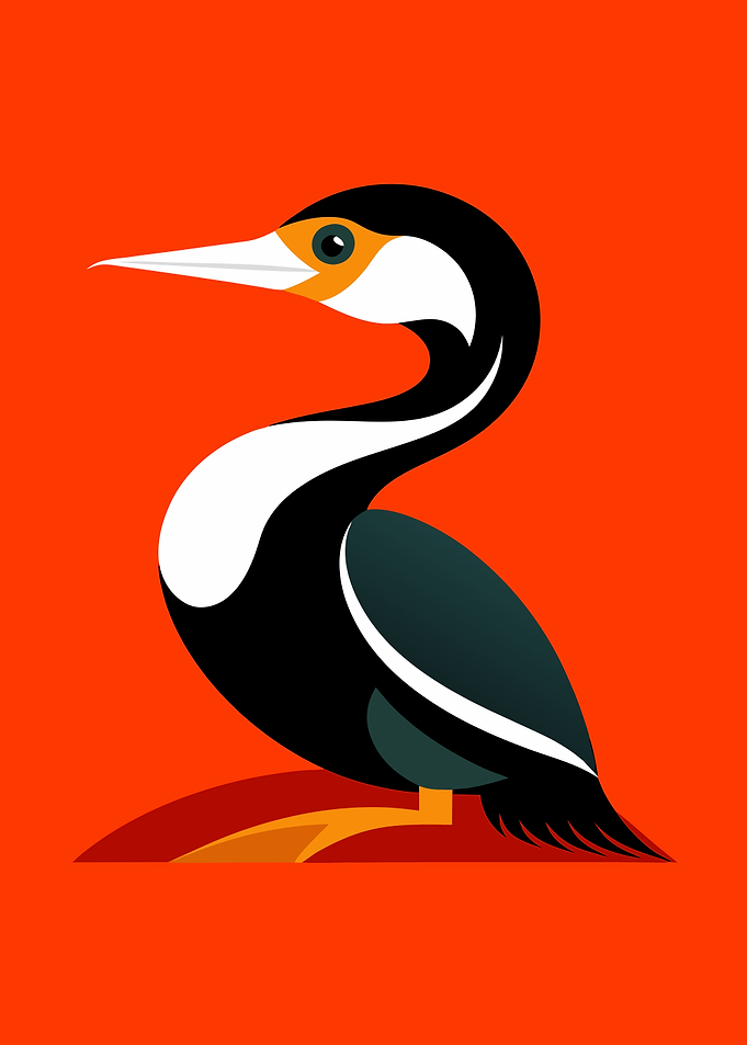 Stylized Cormorant Illustration on Orange Background