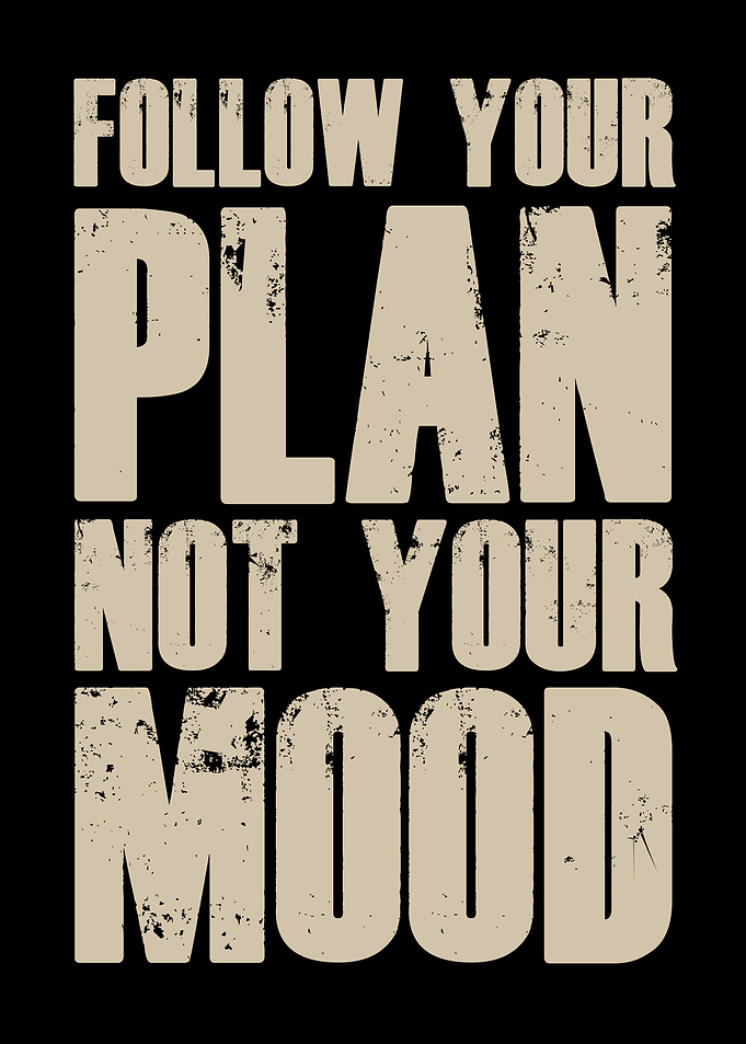 Follow Your Plan Not Your Mood Discipline Motivational Poster