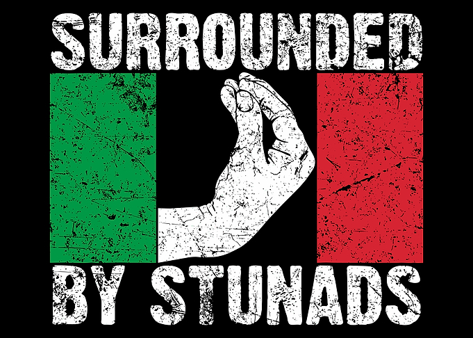 Surrounded by Stunads Italian Flag Hand