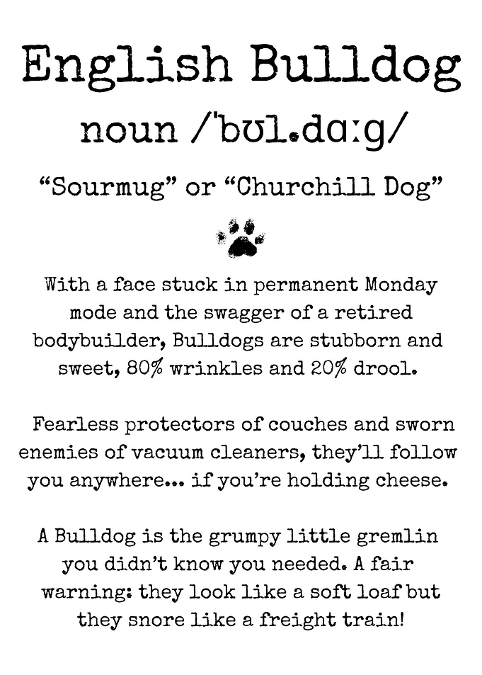 English Bulldog Funny Definition