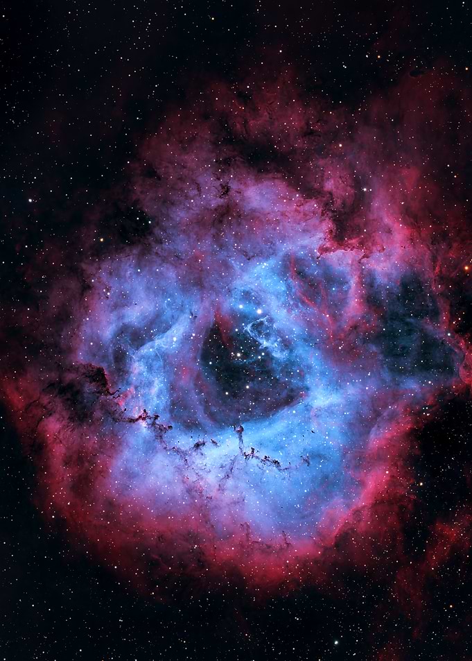 The Rosette Nebula
