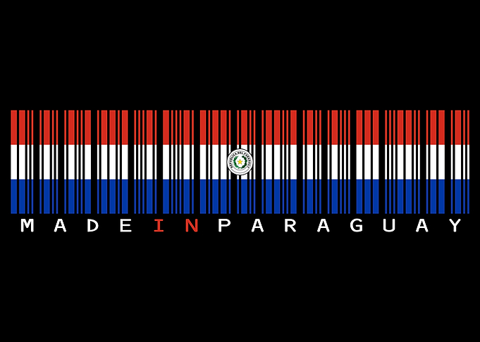 Made in Paraguay Barcode Flag