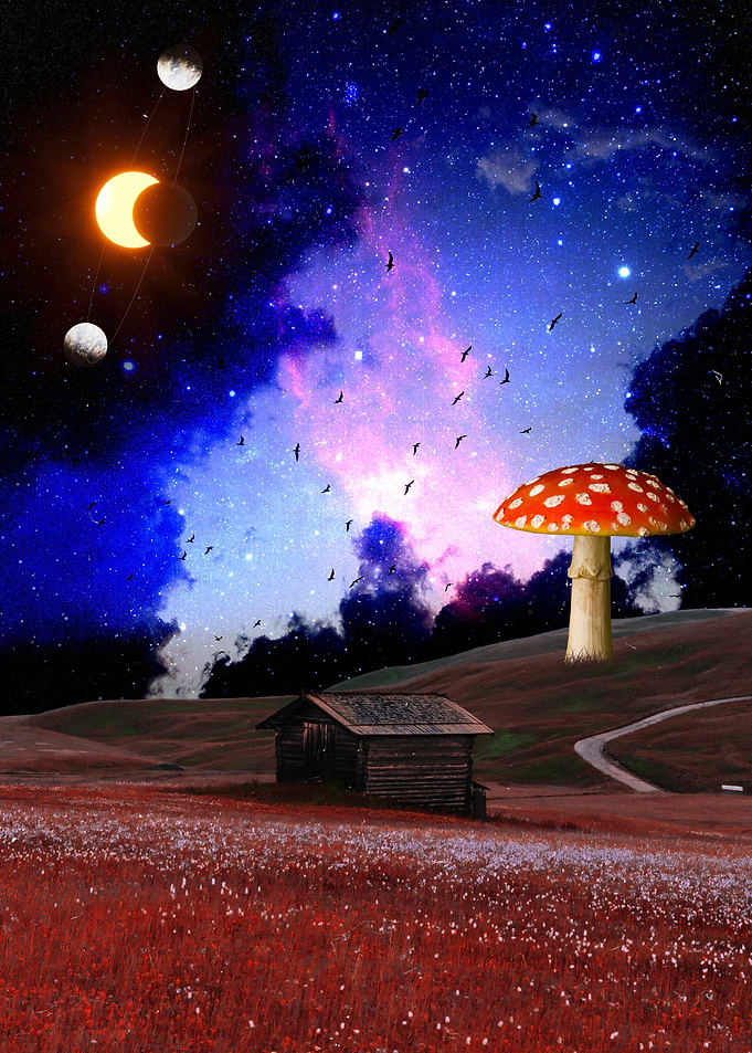 Mushroom Moonrise