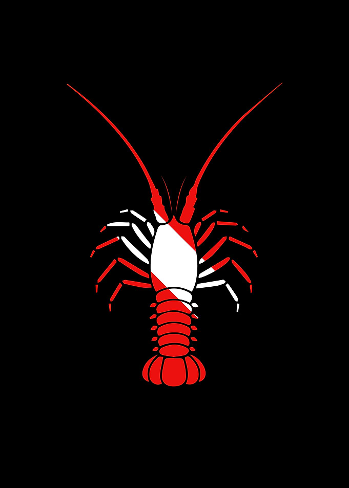 Red and White Scuba Dive Flag Lobster Illustration