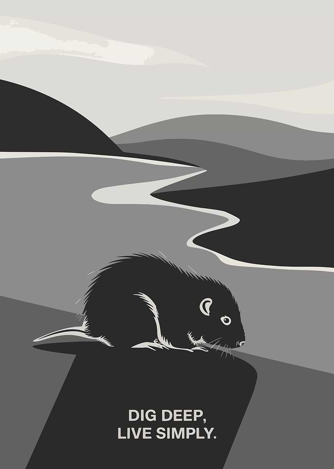 Mole Illustration with Motivational Quote