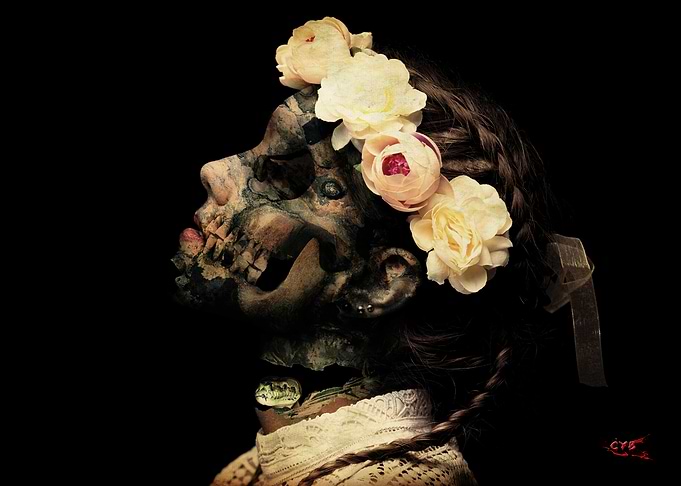 Blossoms of Decay