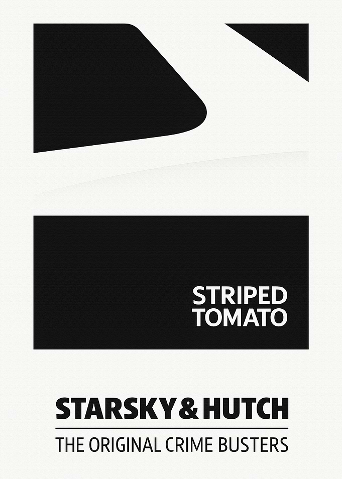 Starsky & Hutch Movie Minimalist