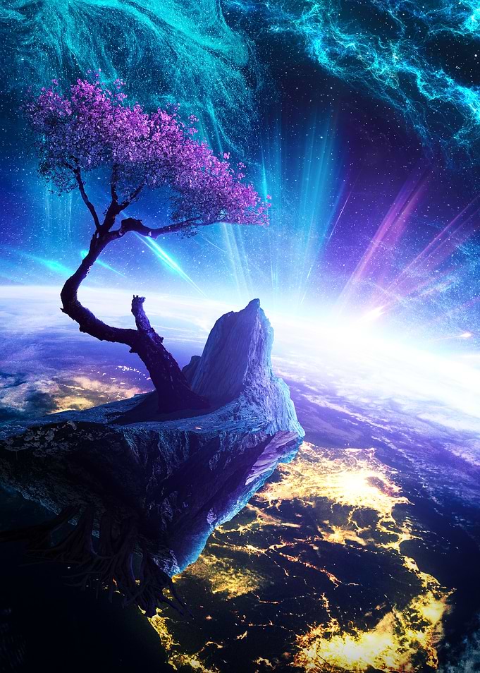 Rooted in the Stars