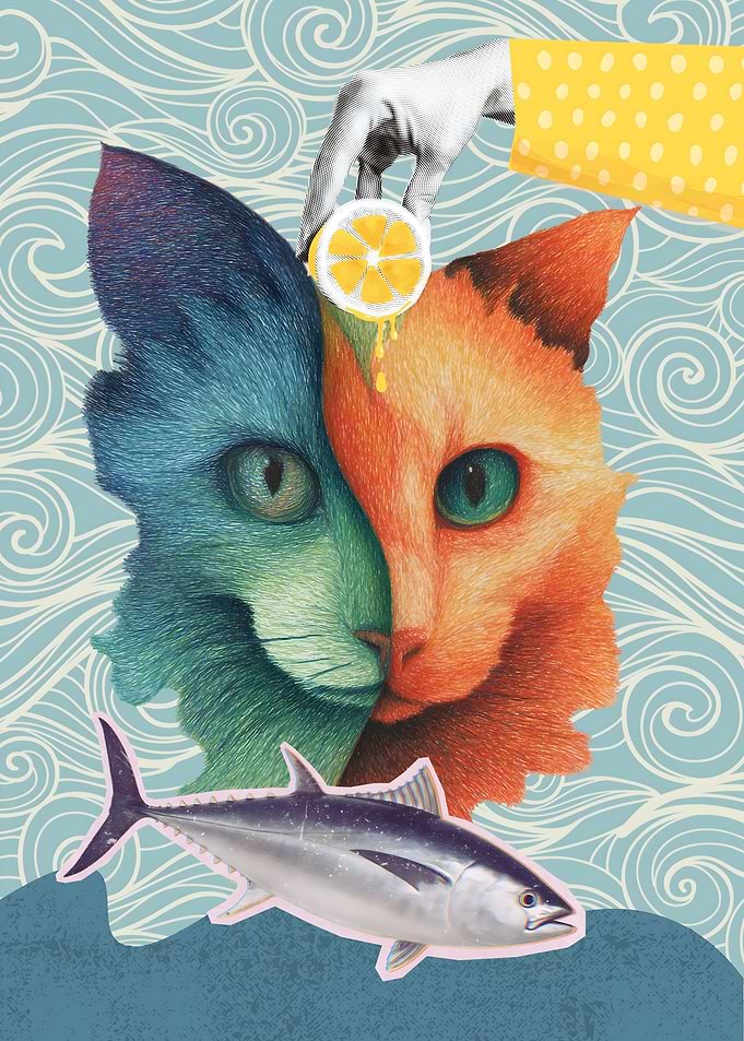 Surreal Collage with Cat, Lemon and Fish