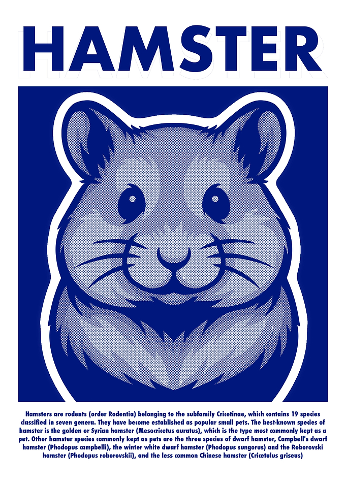 Hamster Illustration