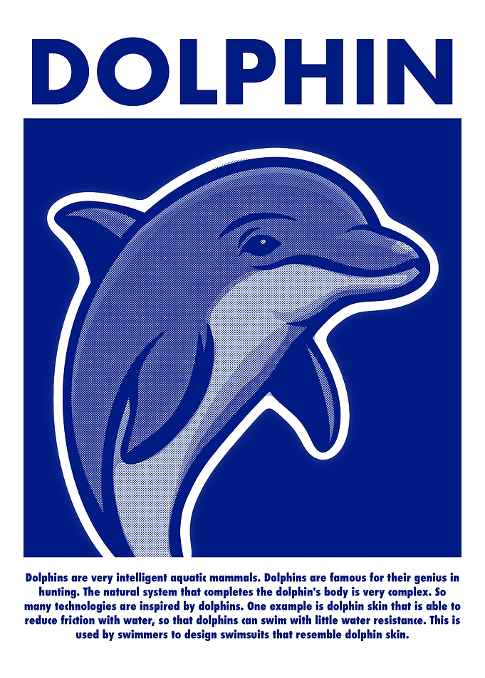 Dolphin Illustration with Text