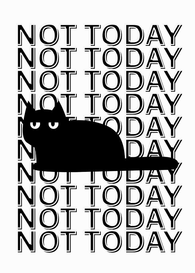 Not Today Cat