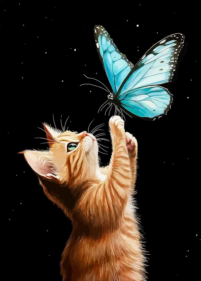 Kitten Reaching for Butterfly