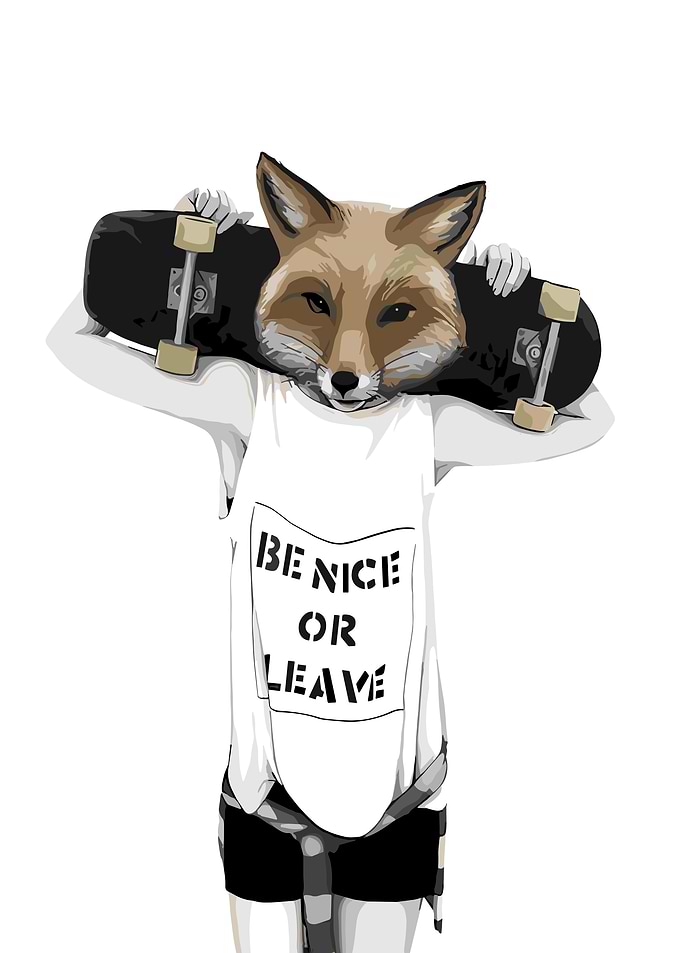 Fox Head Skateboarder