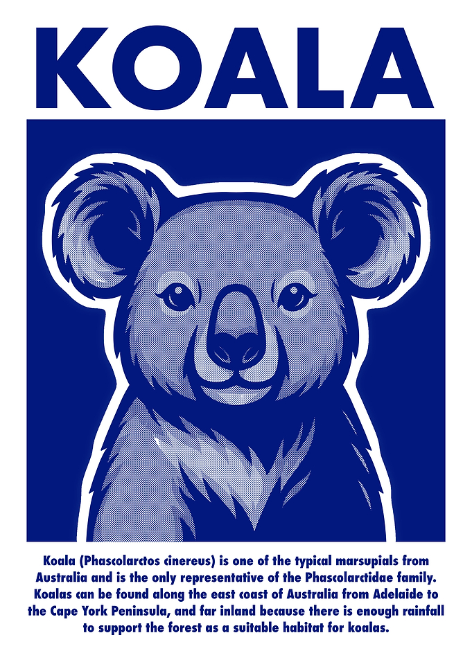 Koala Illustration in Blue