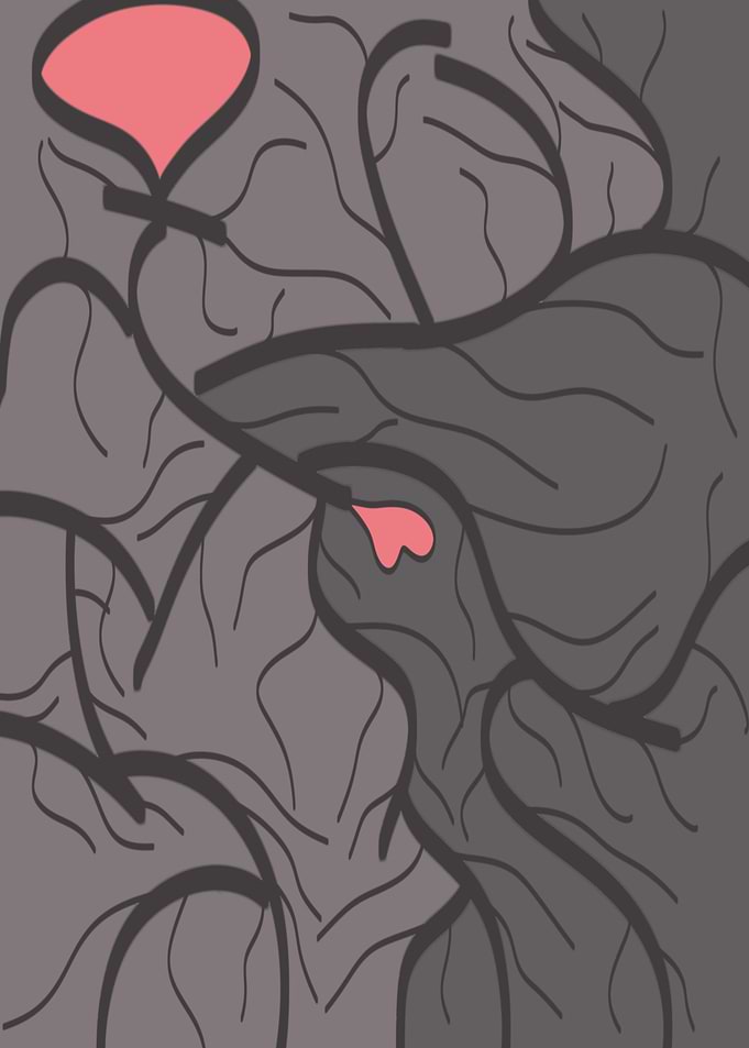 Hidden Heartbeats