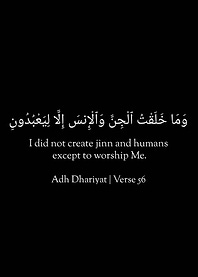 Adh Dhariyat Verse 56