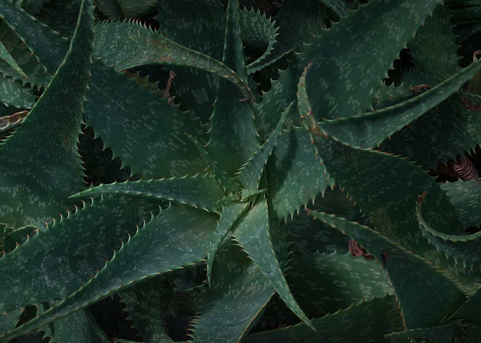 Green Resilience