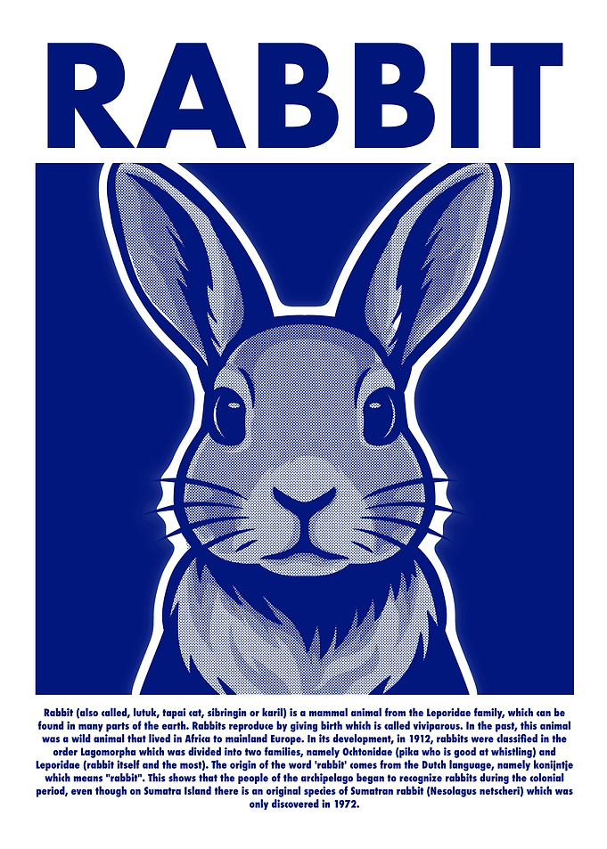Rabbit Illustration
