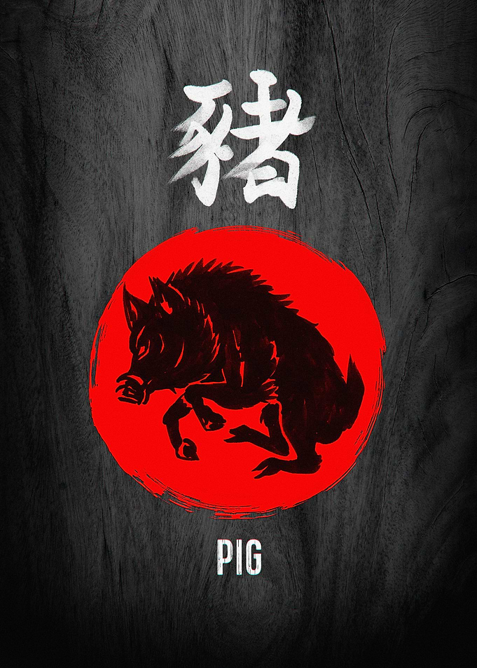 Year of the Pig Illustration